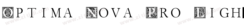 Optima Nova Pro Ligh字体转换